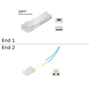 NetApp X1953A-R6 - 30m Data Cable with Plug MPO/LC | MPO to LC Patch Panel,