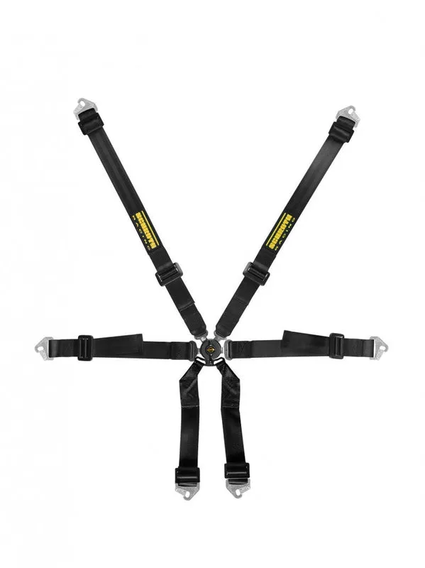 Schroth Clubman 2x2 Harness