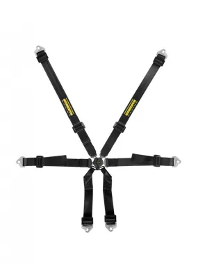 Schroth Clubman 2x2 Harness