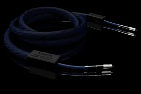 Signal Projects Atlantis Digital RCA 75Ω Cable