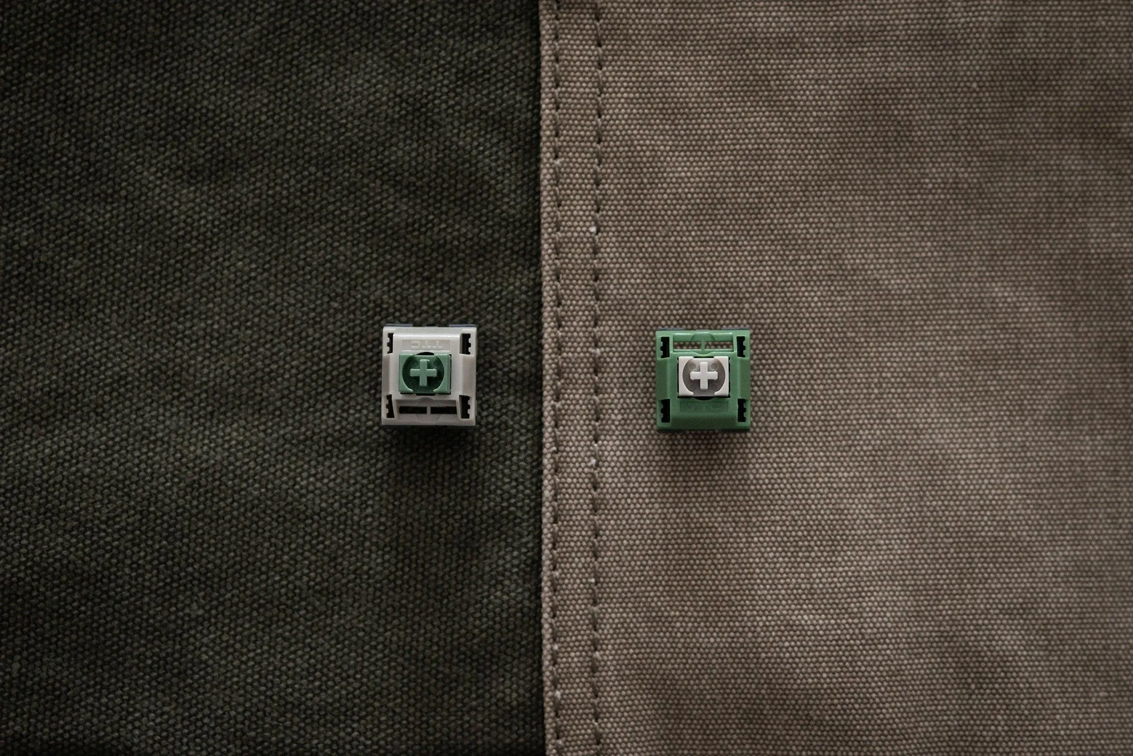 TTC Wild switches (Factory Pre-lubed)