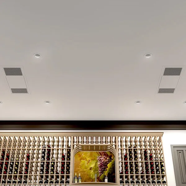 WhisperKOOL Ceiling Mount Twin Split Wine Cellar Cooling System